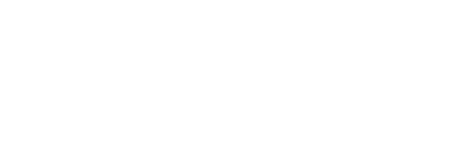 logically-logo-white