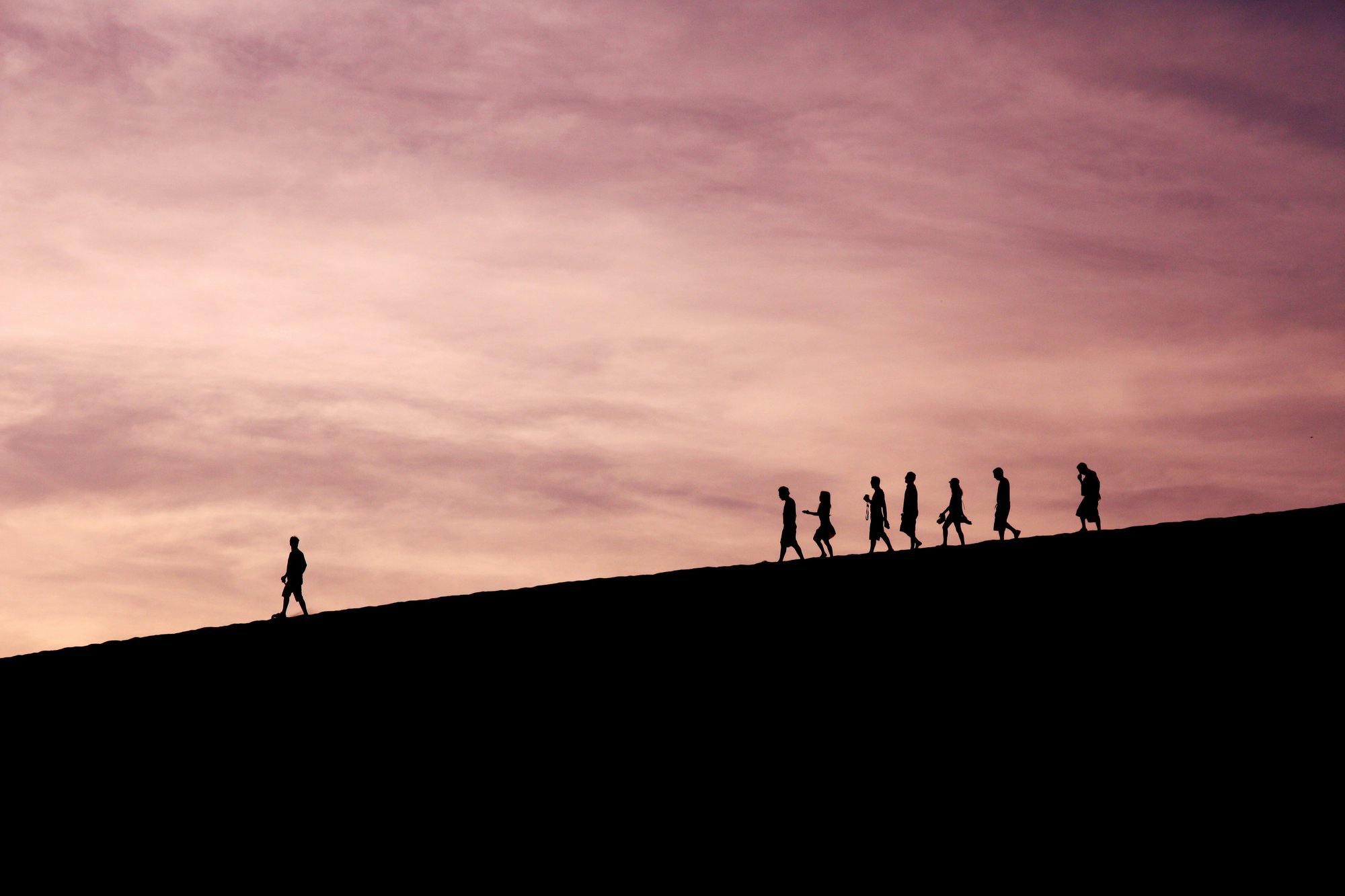 jehyun-sung-6U5AEmQIajg-unsplash (segment of one)