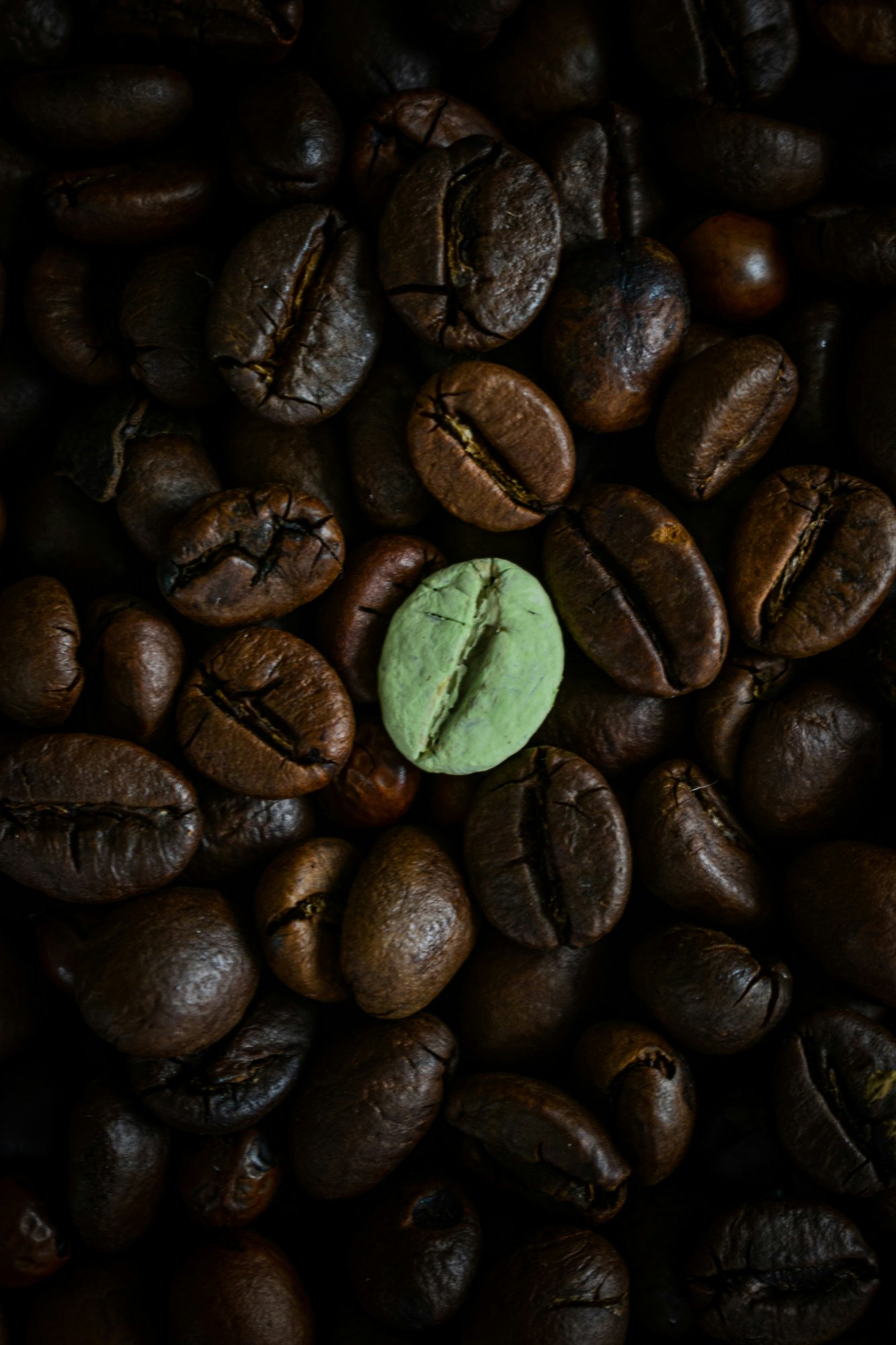 sabin-popa-WqCkUU30Gvk-unsplash (positioning)